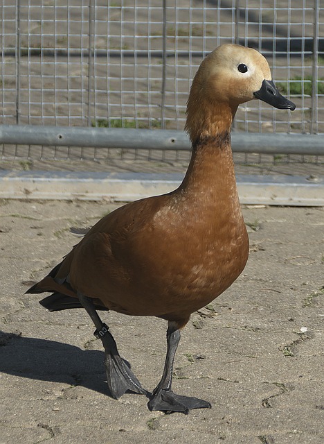 种状况