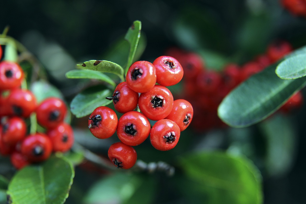 新的团队将 新的团队将