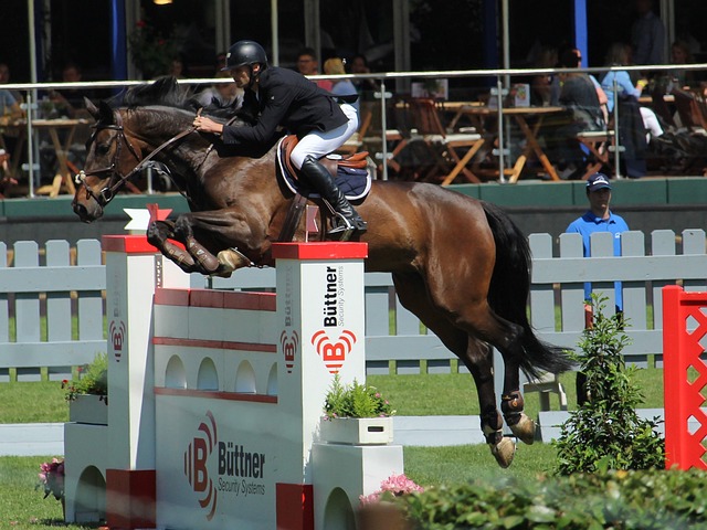 表现征服了 表现征服了