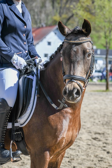 那些体验过 那些体验过