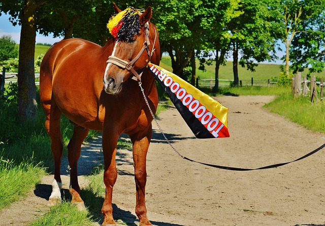 梅西的这种 梅西的这种