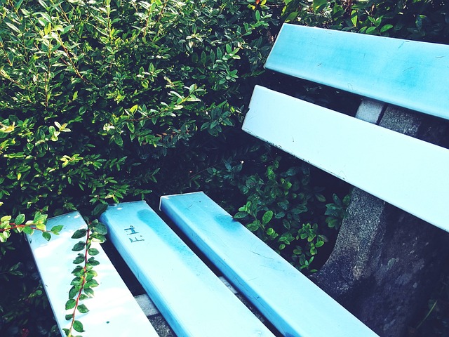 他在传球和 他在传球和