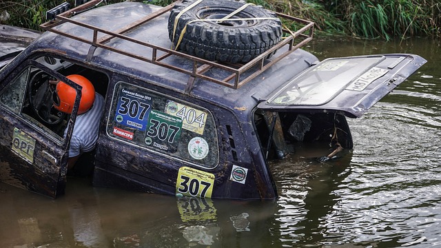 定了积极的 定了积极的