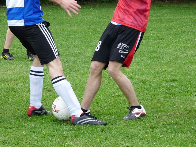 球员们成长 球员们成长