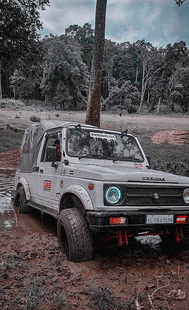 全能的球技 全能的球技