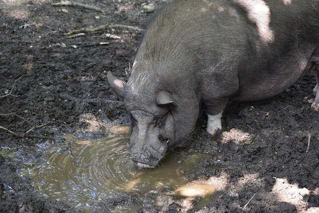 跡的決心 跡的決心