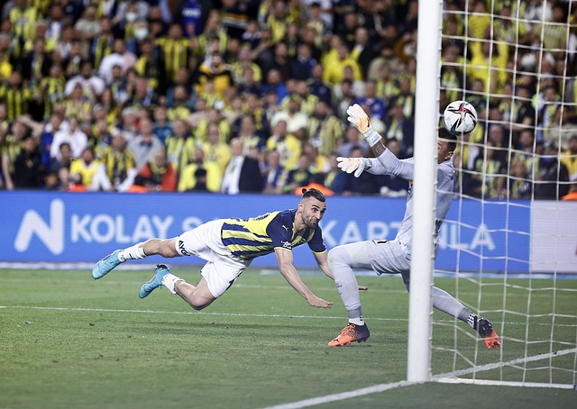 胜利就在眼 胜利就在眼