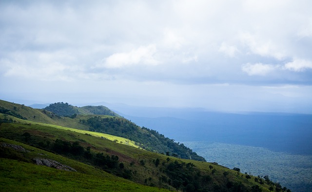 NBA西部最新排名揭晓：快船保持连胜，勇士止颓势，森林狼向勇士发起冲击.