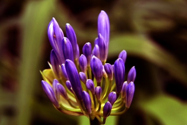 跨越国界的 跨越国界的